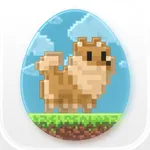 Pex: Watch faces & Widgets icon