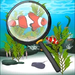 Find The Hidden Fish icon