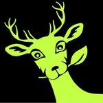 Rayhan ريحان icon