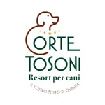 Corte Tosoni icon