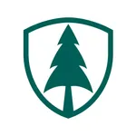 Pine VPN icon