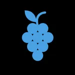 LingoBerry Plus icon