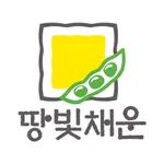 dohyang icon