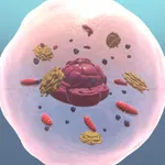 Cellens Anatomi icon