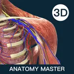 Anatomymaster icon