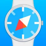 Browser Watch - Wrist Search icon