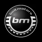 Baltmotors icon