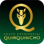 Grupo Empresarial Quirquincho icon