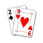 29 Card Game Pro icon