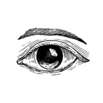 Awake: Awareness and Presence icon