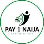 Pay1Naija icon