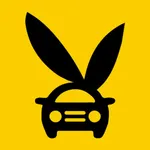 플레이워시 icon