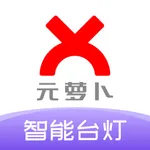 元萝卜光翼灯-孩子的AI伴读 icon