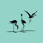 Galzignano Resort icon