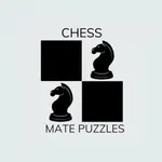 Chess Mate Puzzle icon