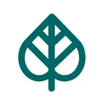 Kava Culture Kava Bar icon