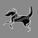 Carnet de santé animale icon