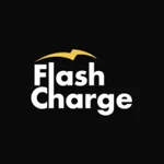 Flash Charge EV icon