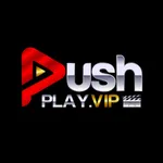 PUSHPLAY.VIP icon