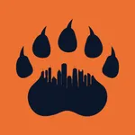 Windy City Bears Fanzine icon