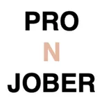 Pro N Jober - N잡 수입 관리 icon