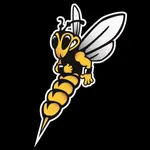 Swarm Central icon