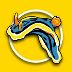 Name that Nudibranch icon