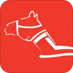 مركز العين للأبحاث icon