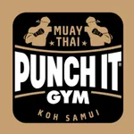 Punch it Gym icon