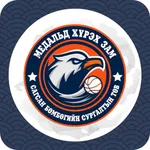 Basketball surgalt icon