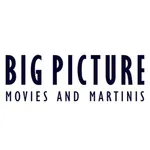 Big Picture Movies icon