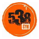538 Gym icon