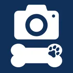 PochiCamera - monitor camera icon
