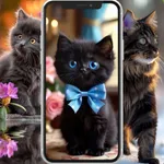 Black Cat Wallpapers icon