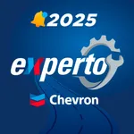 Experto Chevron icon