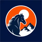 Denver Mile High icon