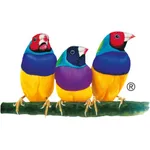 VS Partner Connect icon