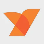 NetBird P2P VPN icon