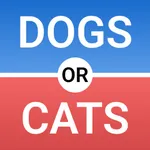 Would You Rather: This or That icon