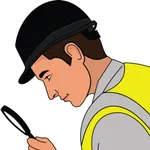 Scaff Inspector icon