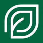 더제이마켓 icon