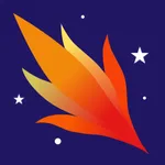 VPN · Private Relay icon