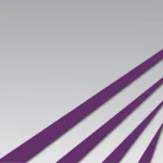 BridgeCU Business Connect icon