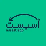 Assest icon