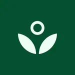 Fruitful: Finances figured out icon