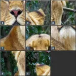 My Slide Puzzle Game icon