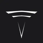 B-KEY for Tesla (Watch Key) icon