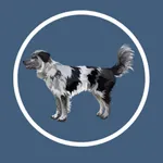Canine Health Hub icon