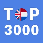 Most Common Dutch Words icon