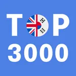 Most Common Korean Words icon